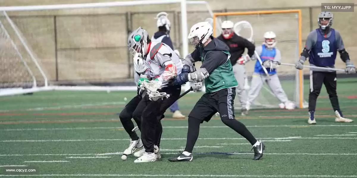 行业领先的理由